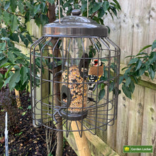 Load image into Gallery viewer, Large Heavy Duty Squirrel Proof Seed Bird Feeder for Outdoor Garden use - Mocha Brown