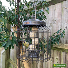 Load image into Gallery viewer, Large Heavy Duty Squirrel Proof Suet Bird Feeder for Outdoor Garden use - Mocha Brown