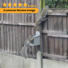 Load image into Gallery viewer, Garden Squirrel Feeder with Metal Roof - Natural Wood with Extra Long Feeding Platform - Hand Painted in Grey