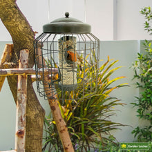 Load image into Gallery viewer, Large Heavy Duty Squirrel Proof Seed Bird Feeder for Outdoor Garden use - Mocha Brown