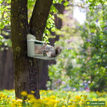 Load image into Gallery viewer, Garden Squirrel Feeder with Metal Roof - Natural Wood with Extra Long Feeding Platform - Hand Painted in Grey
