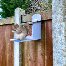 Load image into Gallery viewer, Garden Squirrel Feeder with Metal Roof - Natural Wood with Extra Long Feeding Platform - Hand Painted in Grey
