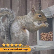 Load image into Gallery viewer, Garden Squirrel Feeder with Metal Roof - Natural Wood with Extra Long Feeding Platform - Hand Painted in Grey
