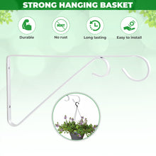 Load image into Gallery viewer, Pack of 2 Hanging Basket Wall Brackets with Twin Hooks Hand Forged Metal Outdoor Garden Wall Plant Hanger Wrought Iron (White)
