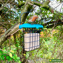 Load image into Gallery viewer, Garden Suet Bird Feeder with Plastic Flip Top Lid, Galvanised Steel Cage &amp; Hanger - for Outdoor Bird Feeding
