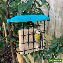 Load image into Gallery viewer, Garden Suet Bird Feeder with Plastic Flip Top Lid, Galvanised Steel Cage &amp; Hanger - for Outdoor Bird Feeding
