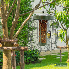 Load image into Gallery viewer, Large Heavy Duty Squirrel Proof Peanut Bird Feeder for Outdoor Garden use - Mocha Brown
